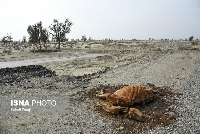 خشکسالی‌ بی‌سابقه در مناطقی از کشور/هشدار به مسئولان آب