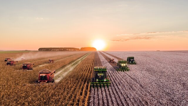 تغییرات آب‌وهوایی و کاهش ۲۱ درصدی بهره‌وری کشاورزی