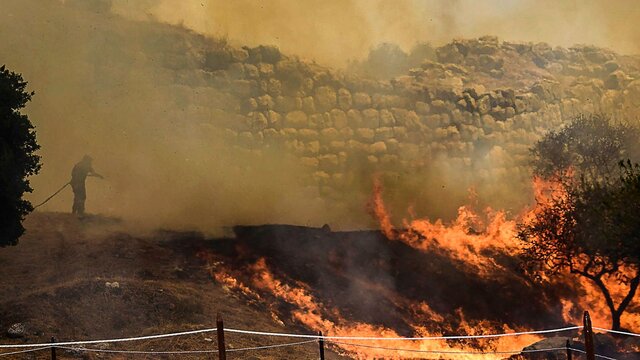 خطرات آتش سوزی های جنگلی برای زمین و بشر