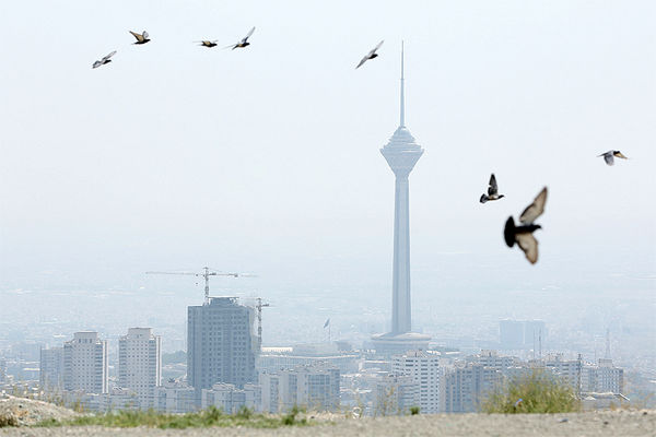 عارضه خاموش آلودگی هوا ، تایید فرضیه شهرهای استرس زا
