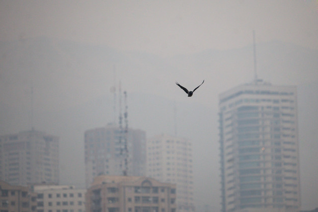 دوراهی آلودگی هوا و معیشت