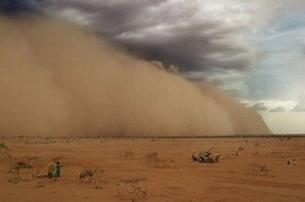 کنترل توفان‌های ماسه‌ای با جایگزینی گونه‌های درختی با بوته‌ای/ شدت بالای خشکسالی در ایران