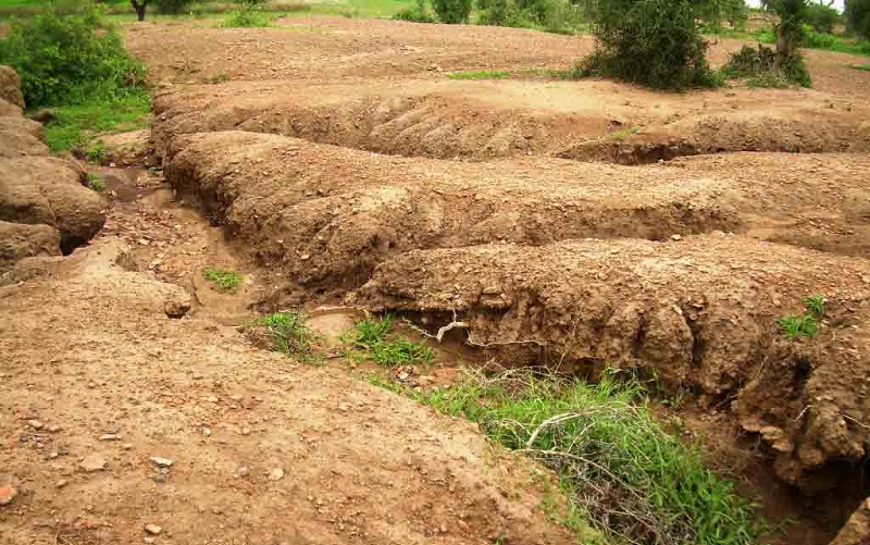 فرسایش خاک ۷ برابر خاک‌زایی در ایران و ۳ برابر میانگین جهانی/ ۱۱۲میلیارد دلار؛ هزینه اقتصادی فرسایش