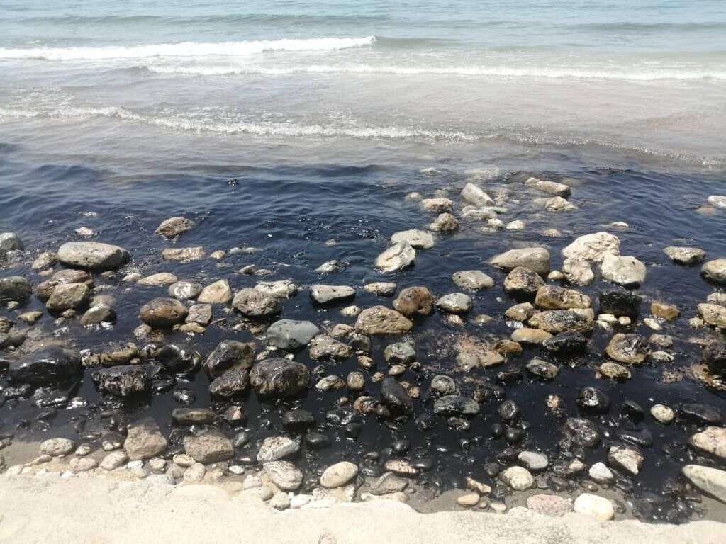 ساحل سیراف از لکه‌های نفتی پاکسازی شد