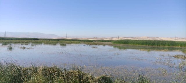 وضعیت تالاب های اقماری پارک ملی دریاچه ارومیه شکننده است