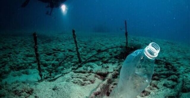 تأثیر پلاستیک بر محیط زیست دریایی