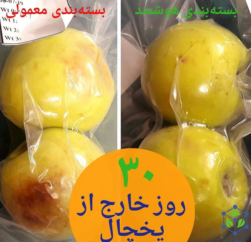 افزایش زمان مصرف مواد غذایی با کیسه‌های هوشمند نانویی تولید فناوران ایرانی