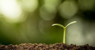 اولویت‌های ۲۲ گانه محیط زیست برای حفاظت از خاک