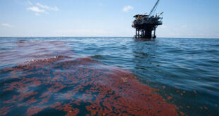 ۱۰ میلیون تومان، جزای شرکت آلوده کننده دریای خارگ