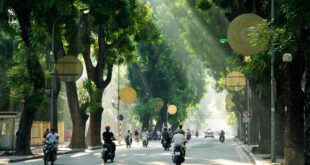 تاثیر درختکاری شهری بر کاهش بیماری شهروندان