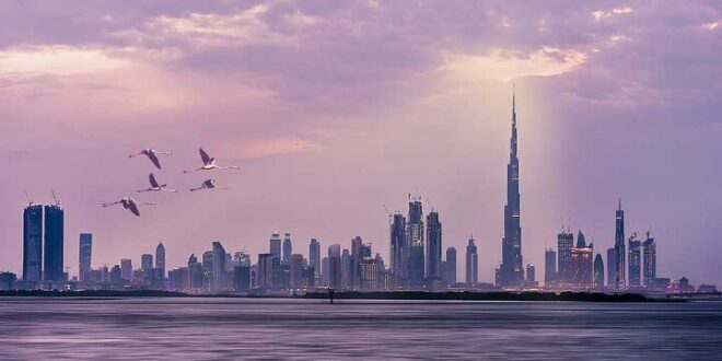 چرا دبی پاک‌ترین شهر جهان شد؟