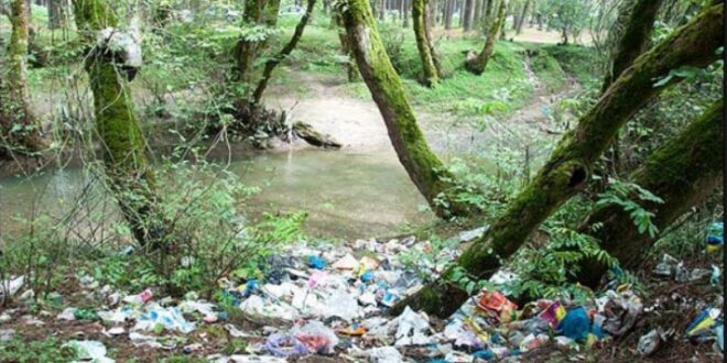 برای تولید زباله کمتر و یک سفر محیط زیستی در نوروز چه کنیم؟