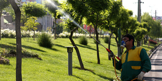 ممنوعیت استفاده از سموم شیمیایی برای سم‌پاشی درختان اصفهان