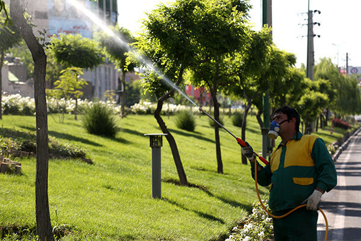 ممنوعیت استفاده از سموم شیمیایی برای سم‌پاشی درختان اصفهان