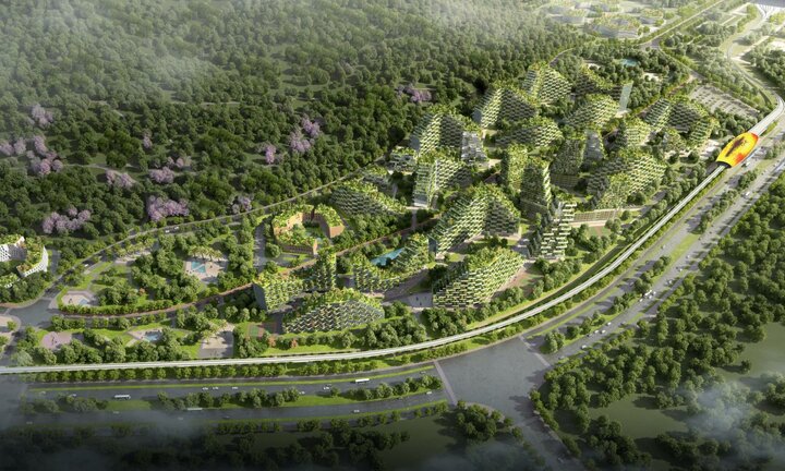 چین، میزبان نخستین شهر جنگلی جهان
