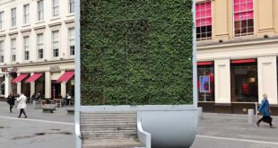 درختان هوشمند شهری؛ راهکار جهان برای مقابله با آلودگی