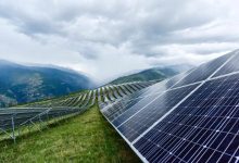 بهبود اکوسیستم‌های شهری با مزارع خورشیدی محیط زیستی