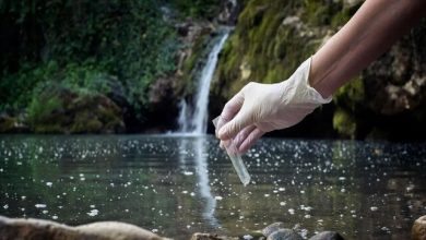 ابداع روش جدیدی برای تشخیص سموم دارویی در آب