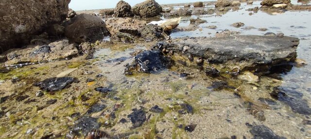 خسارت ۷۰ میلیاردی ‌آلودگی‌های‌ نفتی به خاک خوزستان تا پایان سال گذشته