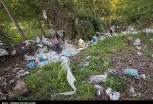 ممنوعیت عرضه کیسه‌های پلاستیکی در فروشگاه‌های زنجیره‌ای/ امحای زباله در کارخانه‌های سیمان
