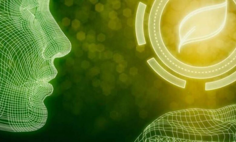 افزایش مصرف انرژی و بحران زیست‌محیطی با هوش مصنوعی!