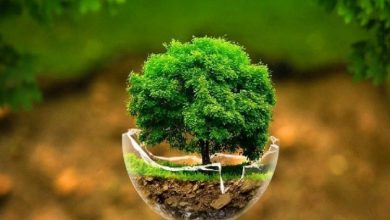 عکس‌های ارسالی انسان و محیط زیست بهار 1403