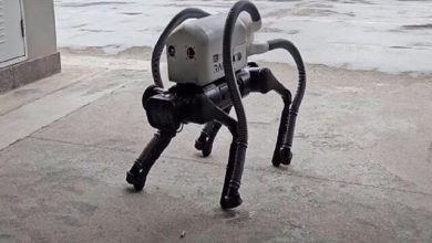 این سگ رباتیک ته‌ سیگارها را از سواحل جمع‌ می‌کند