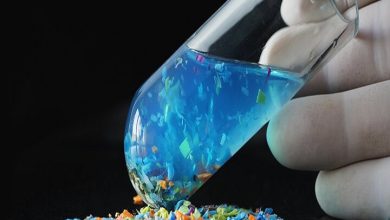 مقابله با میکروپلاستیکها با کمک فیلتر ساخته شده از استخوان ماهی مرکب