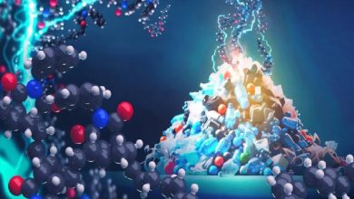 روشی که زباله‌ها را به پلاستیک‌های کارآمد تبدیل می‌کند