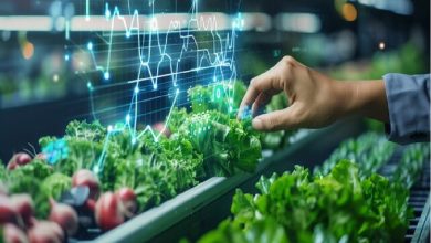 کشاورزی هوشمند با چه موانعی رو به رو است؟