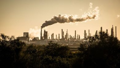 افزایش غلظت دی‌اکسید کربن موجود در جو زمین در سال ۲۰۲۴