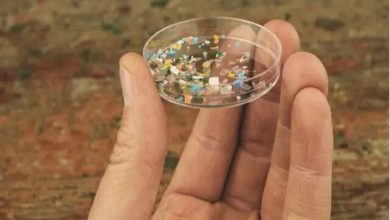 حذف فوق سریع سُرب توسط نانوپلاستیک‌ها می‌تواند خطرناک باشد