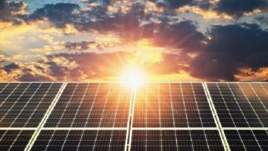 دستگاه‌های اجرایی در مسیر تحول؛ گام‌های تازه به سوی انرژی خورشیدی