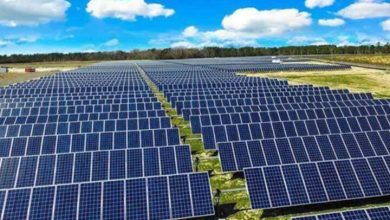 تولید بیش از ۳۰۰۰ کیلووات برق در نیروگاه‌های خورشیدی گلستان