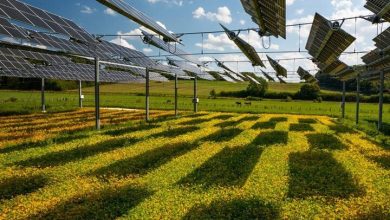 واگذاری زمین برای نیروگاه‌های خورشیدی، فرصتی برای توسعه استان‌های محروم