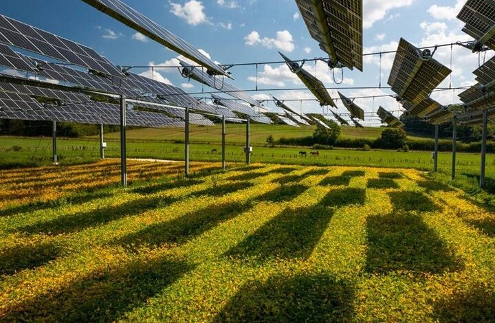 واگذاری زمین برای نیروگاه‌های خورشیدی، فرصتی برای توسعه استان‌های محروم