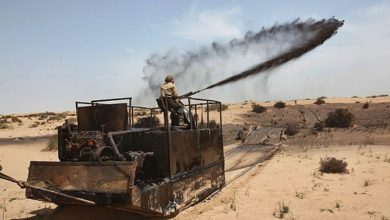 مالچ پاشی؛ گزینه مناسبی در مقابله با ریزگردها