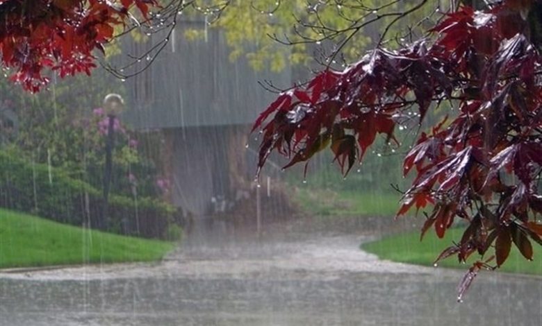 عکسهای ارسالی از بارندگی در زمستان ۱۴۰۳