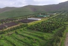 نقش مهم مراتع در مقابله با تغییرات اقلیمی