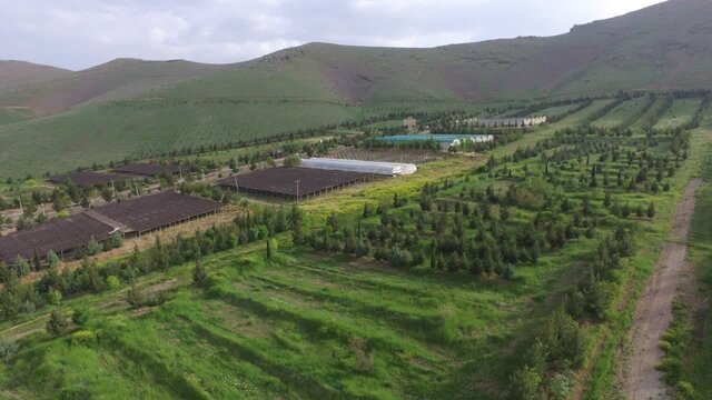 نقش مهم مراتع در مقابله با تغییرات اقلیمی