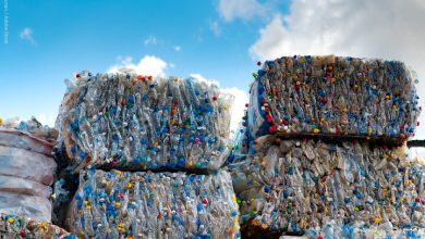 جنبش پلاستیک ارزشمند؛ راهکاری محلی برای حل بحران جهانی پلاستیک