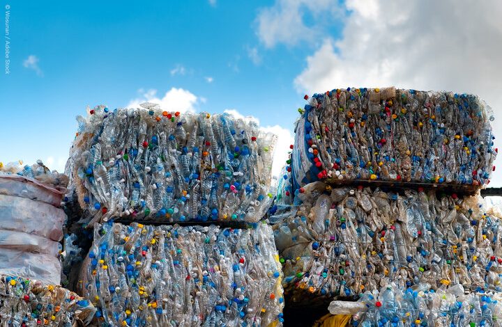 جنبش پلاستیک ارزشمند؛ راهکاری محلی برای حل بحران جهانی پلاستیک