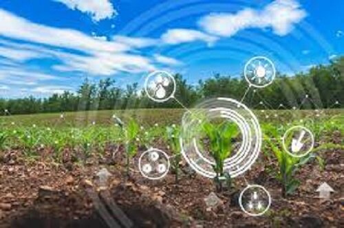 خشکسالی ادامه‌دار، ضرورت اجرای الگوی کشت را دوچندان می‌کند