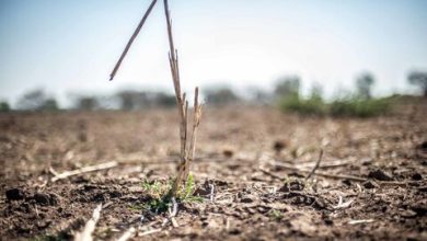 تهدیدی خاموش به نام بیابان‌زایی