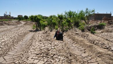 آیا دیپلماسی نوین در حوزه آب می‌تواند به تن خشک ایران جانی دوباره بخشد؟
