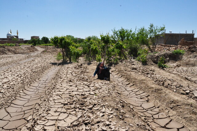 آیا دیپلماسی نوین در حوزه آب می‌تواند به تن خشک ایران جانی دوباره بخشد؟