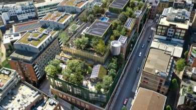 فواید غیرمنتظره بام‌های سبز در مبارزه با ریزپلاستیک‌ها