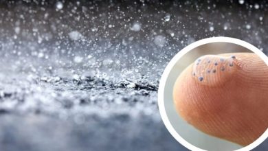 ریزپلاستیک‌ها به نشست جهانی معاهده پلاستیک هم نفوذ کردند