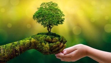 مصرف سبز در ایران؛ قربانی شرایط اقتصادی