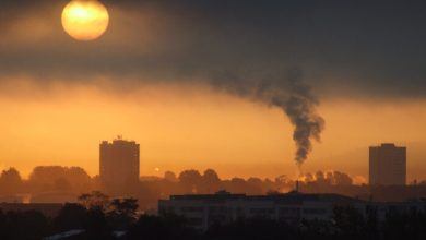 کلانشهرهای جهان در مسیر مقابله با آلودگی هوا با راهکارهای تصفیه‌ای